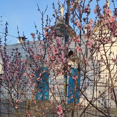 Trullo Francisco マルティナ・フランカ